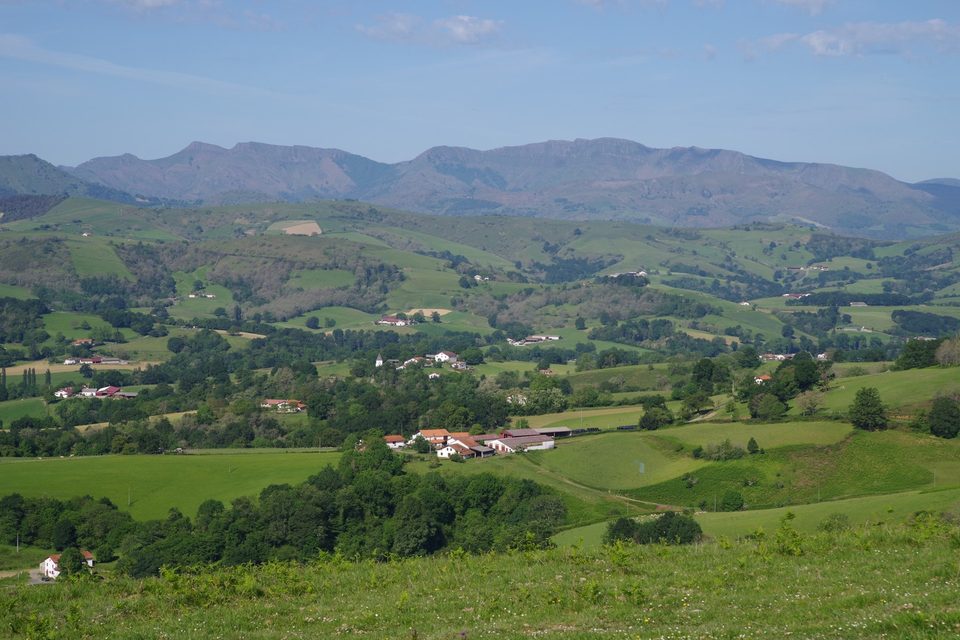 Azkonbegi