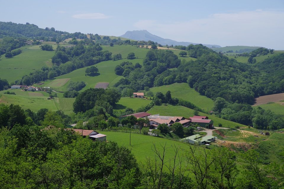 Ezkandrai