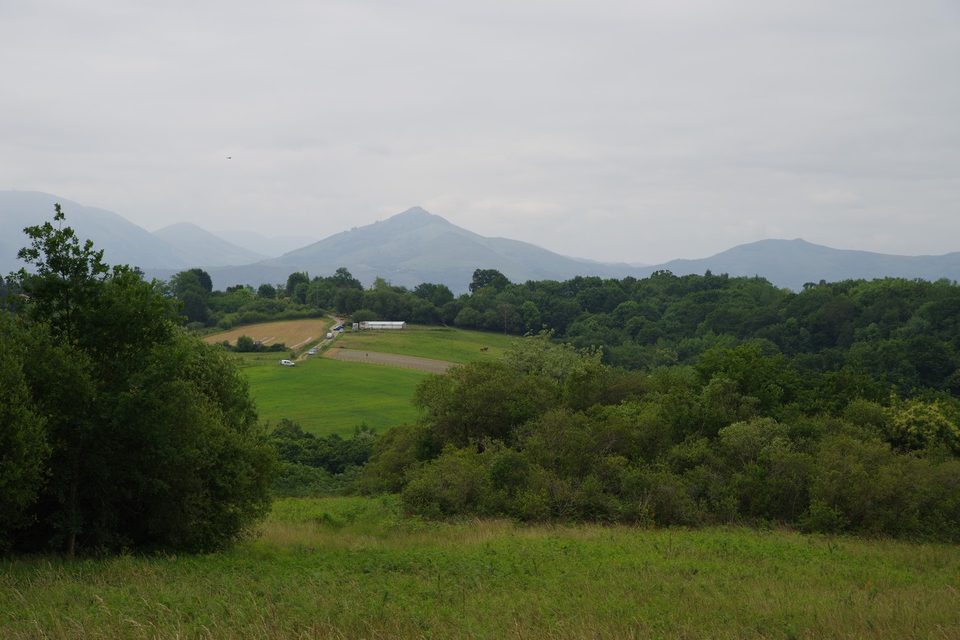 Bizkarrandi