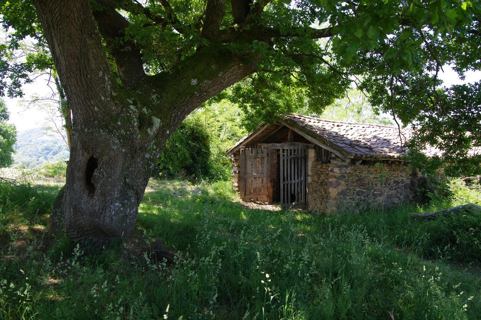 Adarre