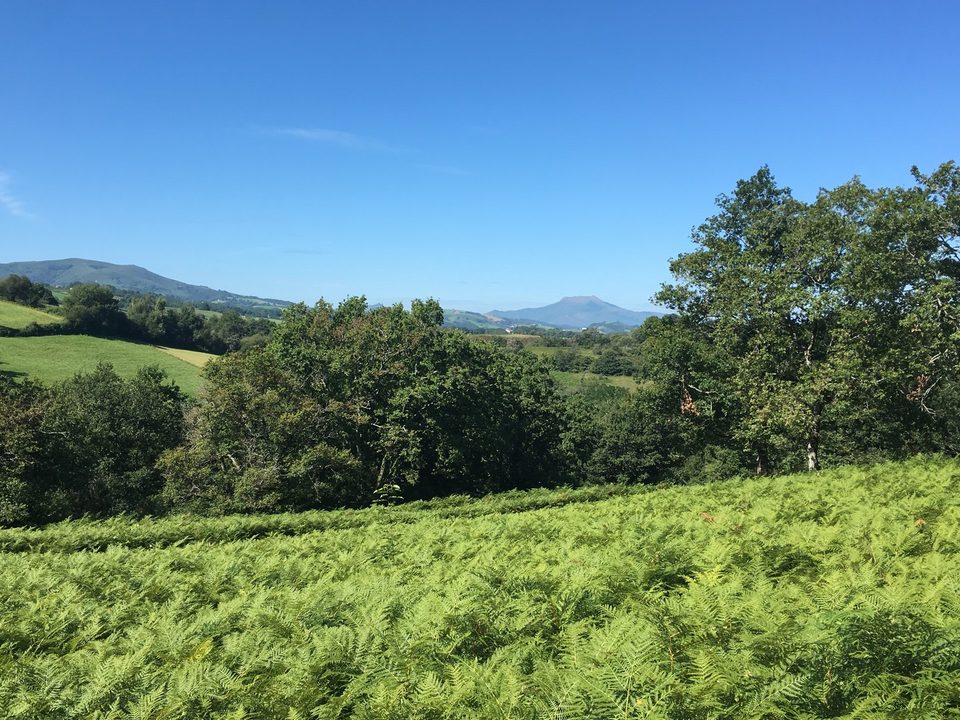 Colline de la Bergerie