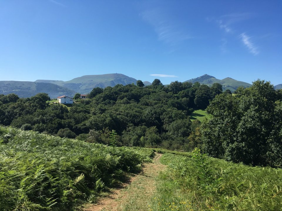 Colline de la Bergerie