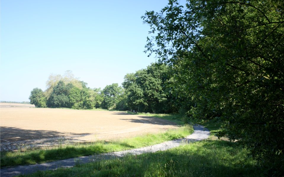 De Sauvagnon à la forêt de Bastard