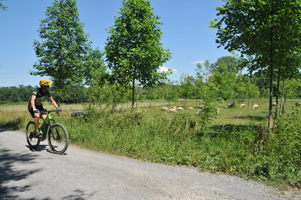 VTTAE N°69 - Le tour de Saint-Pée 