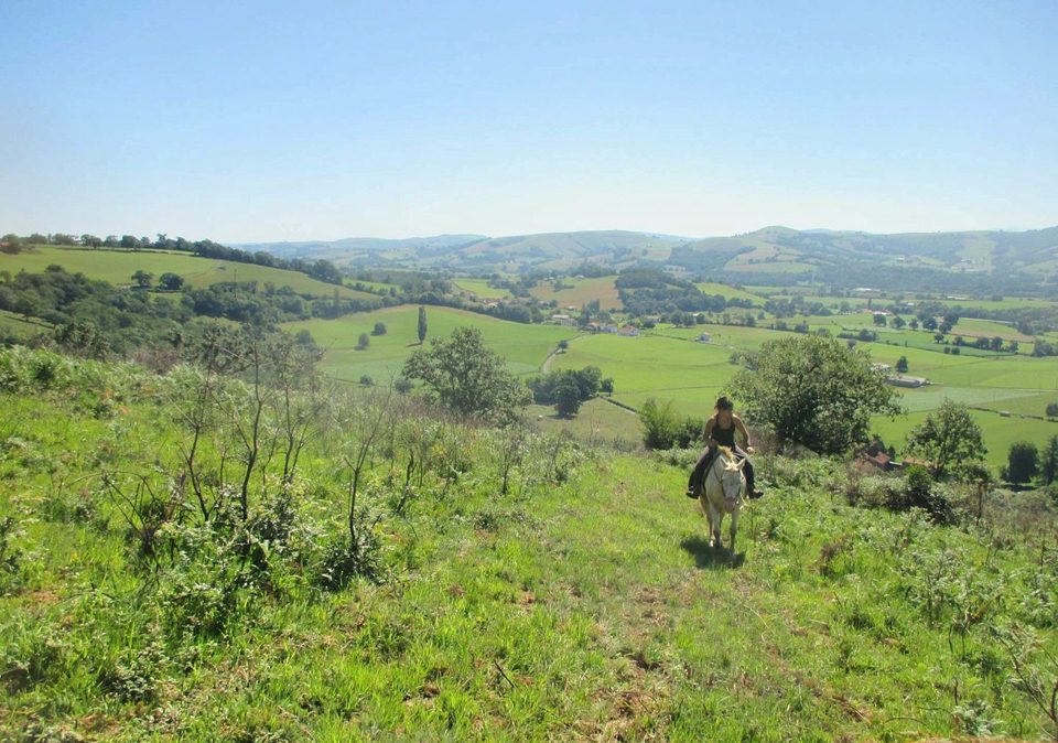 Le sentier des contrebandiers - De Saint-Palais à Biriatou - équestre