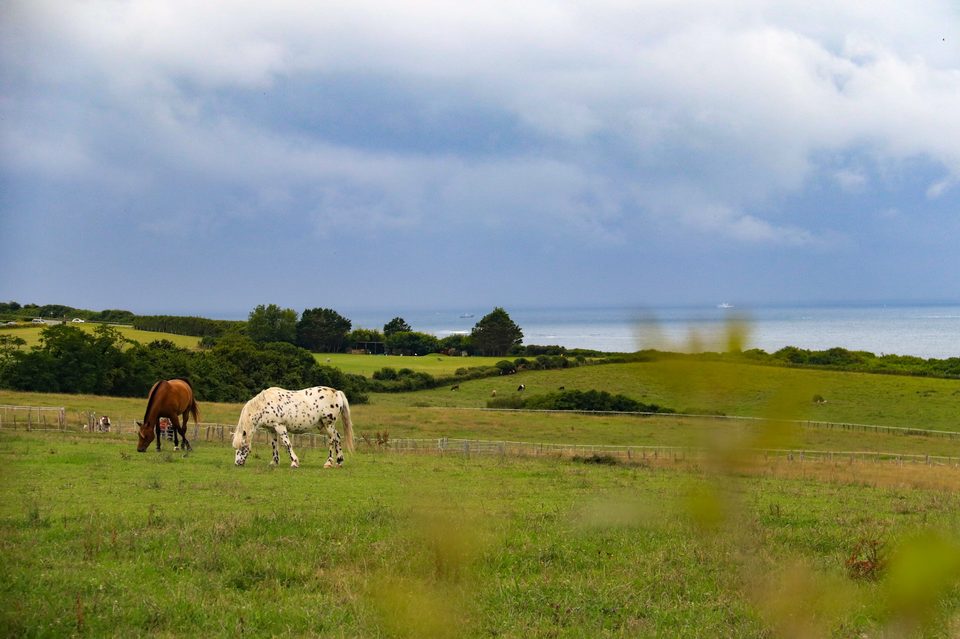 Le sentier du littoral de Saint-Jean-de-Luz à Hendaye étape n°2