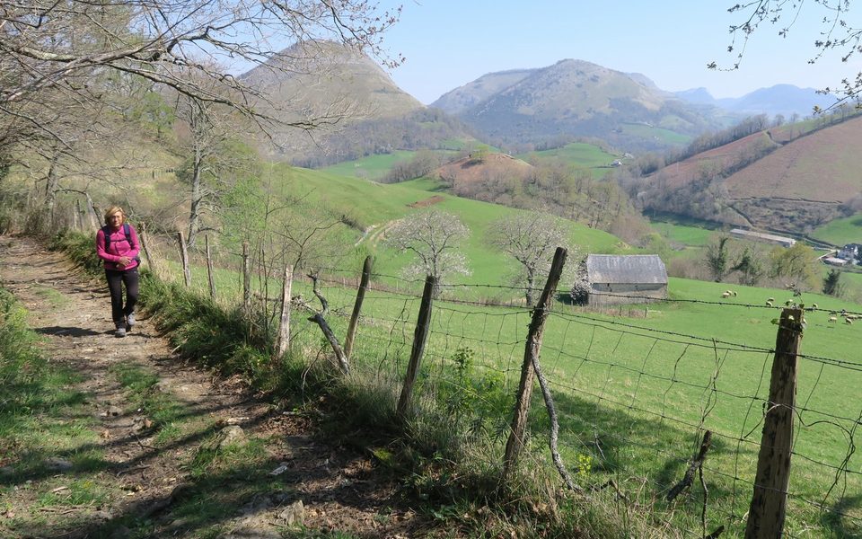 Tour d'Etchebar/Etxebarreko üngürua - Trail
