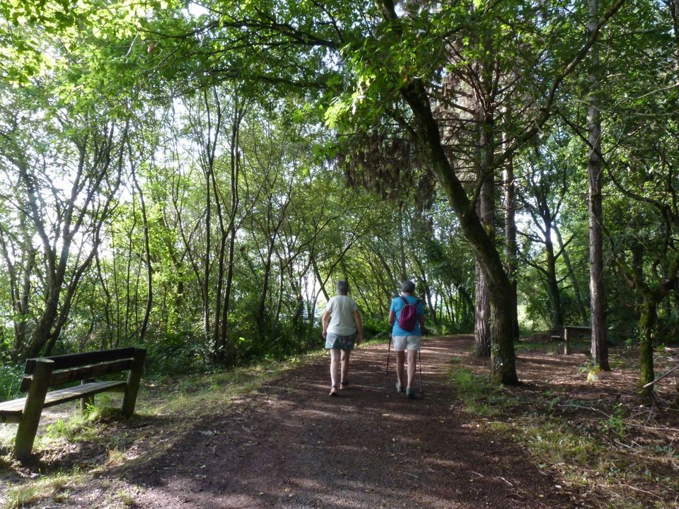 Momas : Tour du lac de l'Ayguelongue