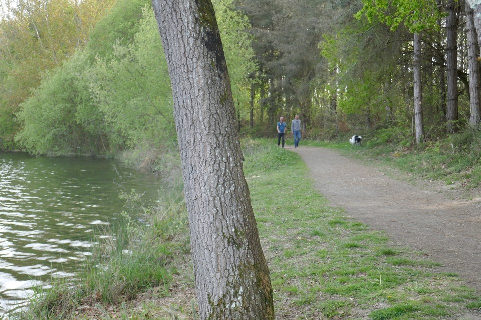Momas : Du Luy à l'Ayguelongue