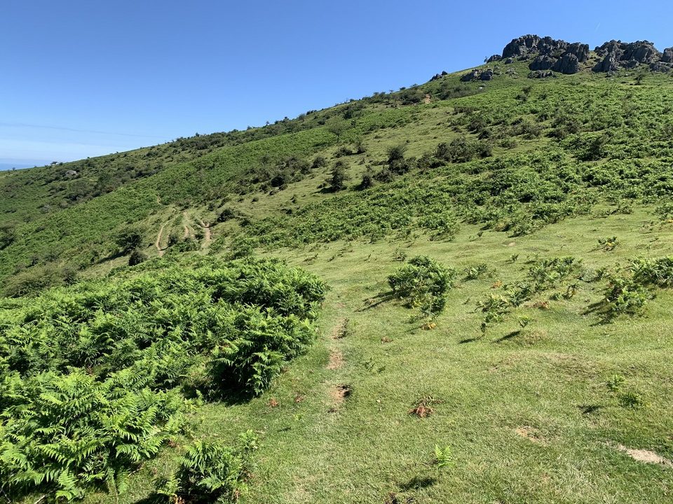 Circuit de la montagne - VTT