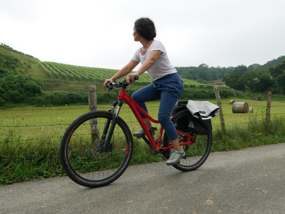 Baigorry et vignoble d'Irouléguy