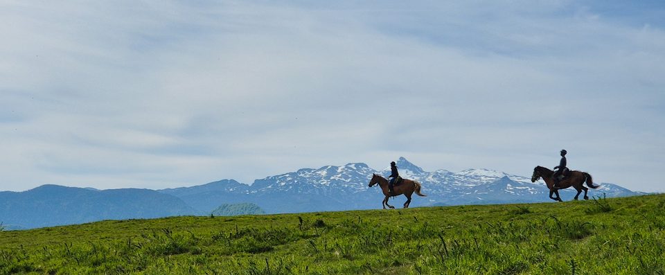 Equestre@NWatteau-103840