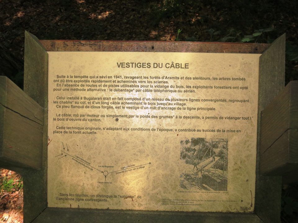 N°7 Barétous - Bois de Gouloume