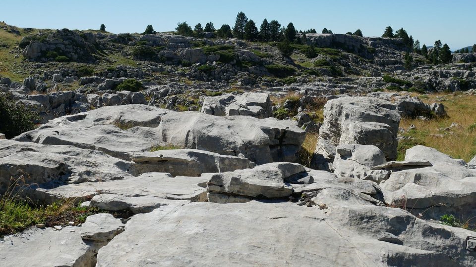 Route N°19 - Les crêtes d'Issarbe
