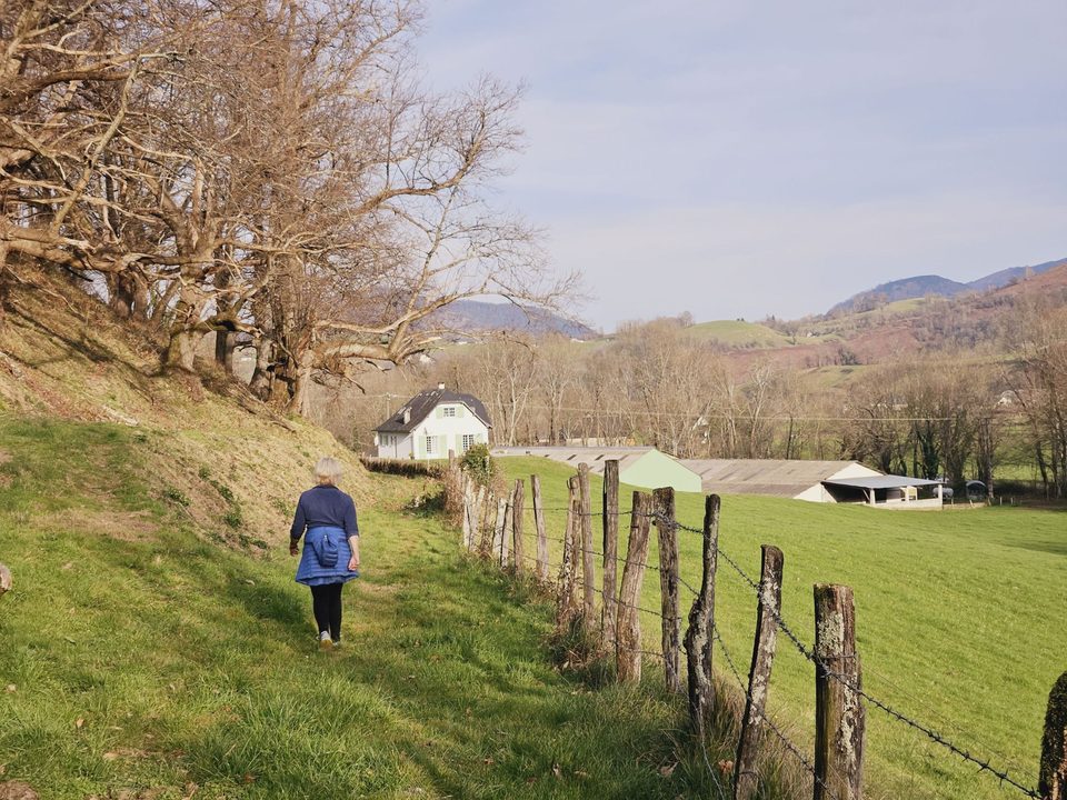 N°18 - Le chemin de la transhumance
