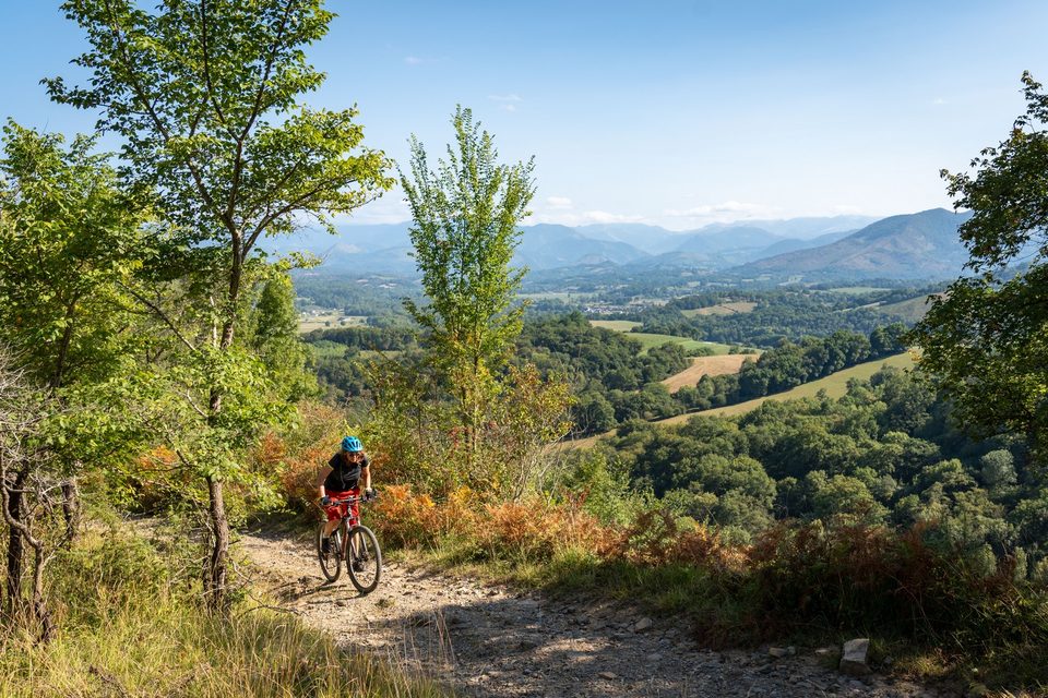 1 - Laskaraia - VTT