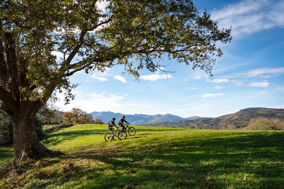 4 - Kokoitxe Ttipia VTT
