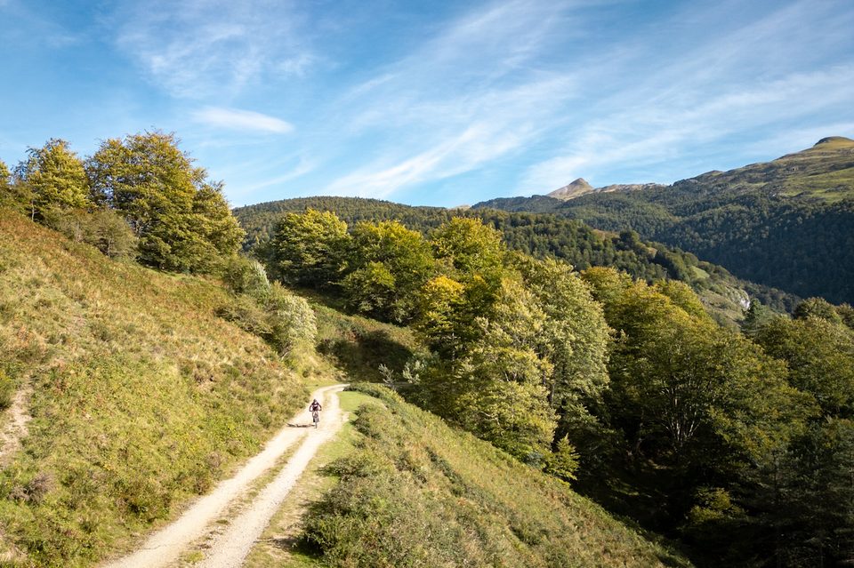 19 - Ükhümürrütia ttipia VTT