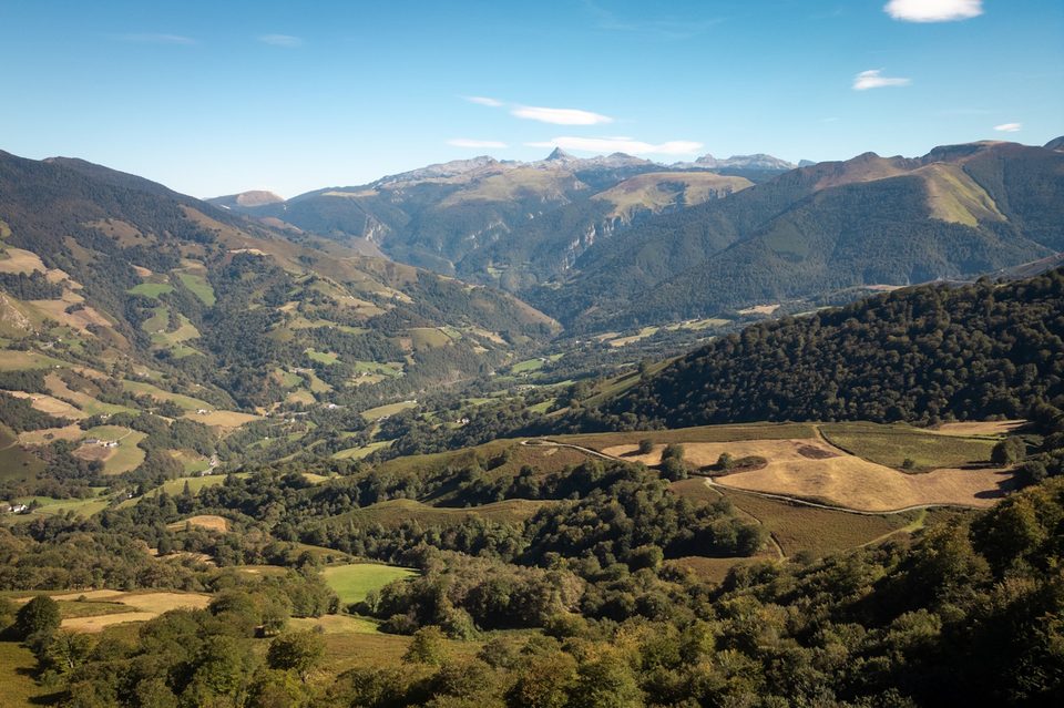 20 - Ükhümürrütia handia VTT