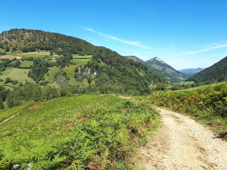 VTT N°15 - Descente d'Issarbe