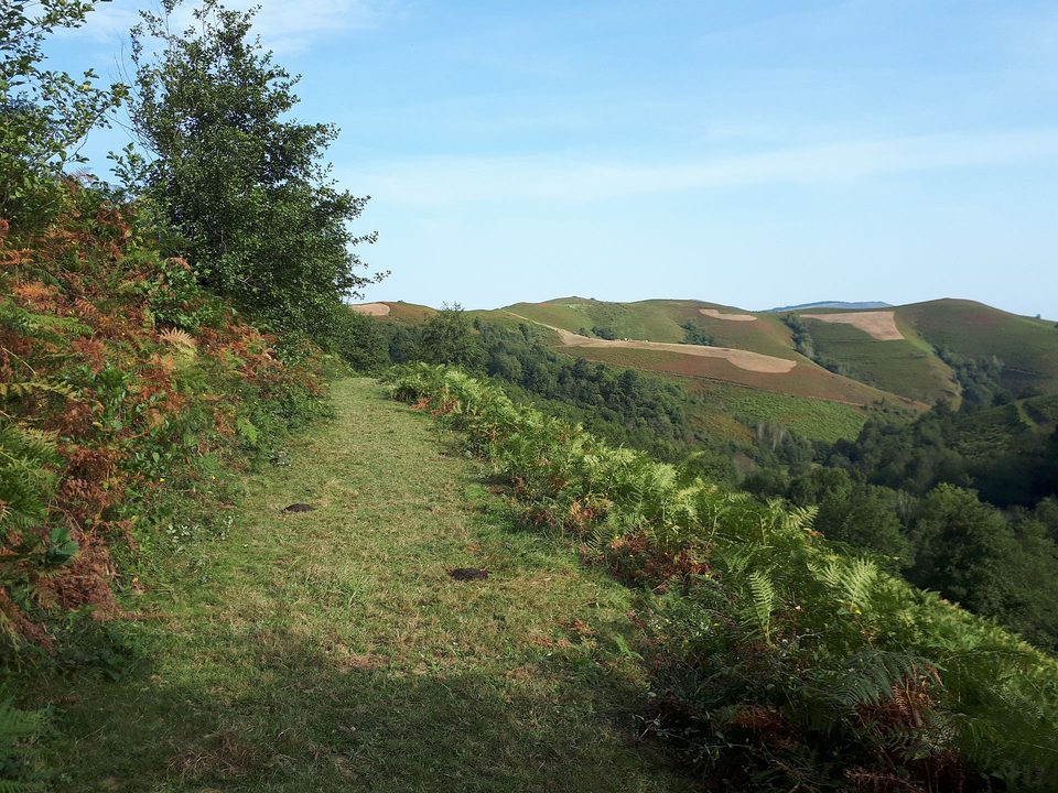 VTT N°16 - Le Tremey