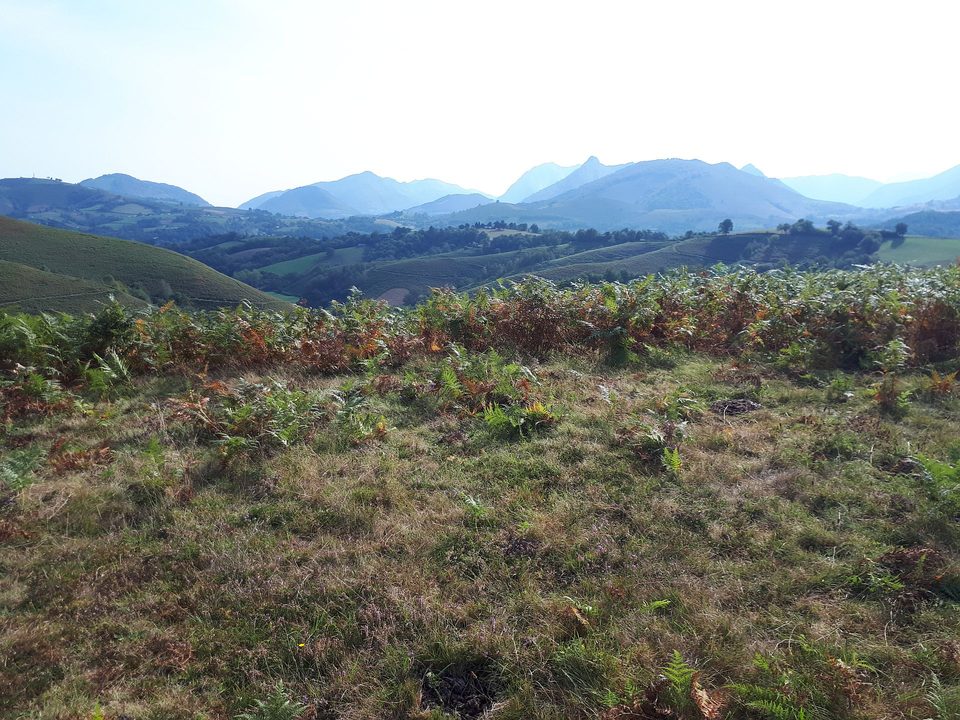 VTT N°16 - Le Tremey