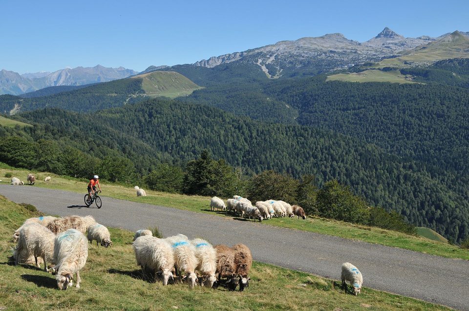 Route N°29b - La Pierre Jacques
