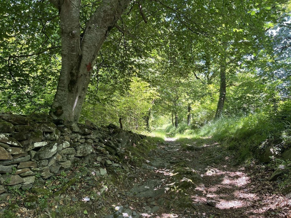 La chapelle d'Esputs (83)