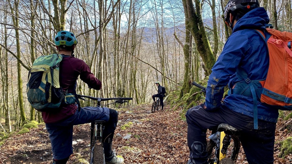 Le tour du bois perché (26)