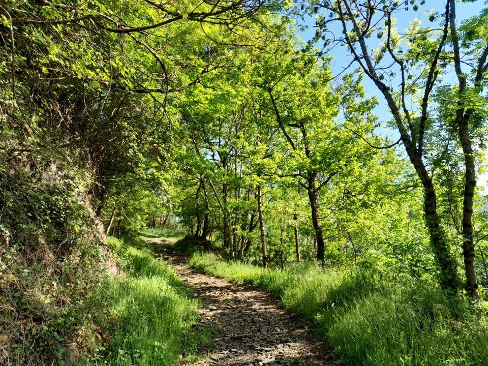 La montée tranquille vers le Col de Pradets
