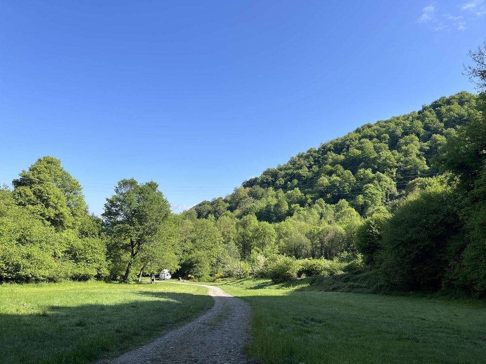 Clairière avec table de pique-nique