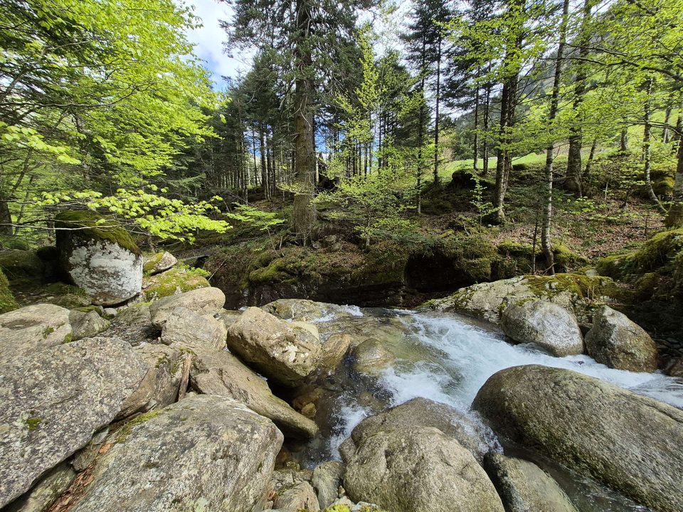 Le murmure du ruisseau Houradade