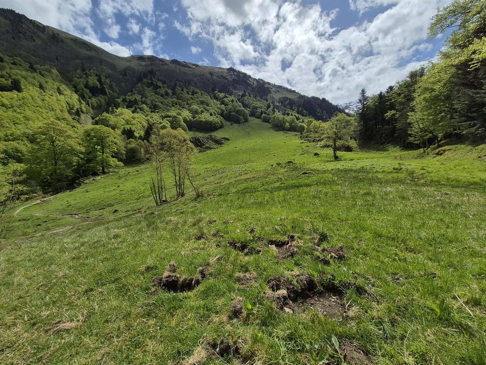 Le pré d'Artigue