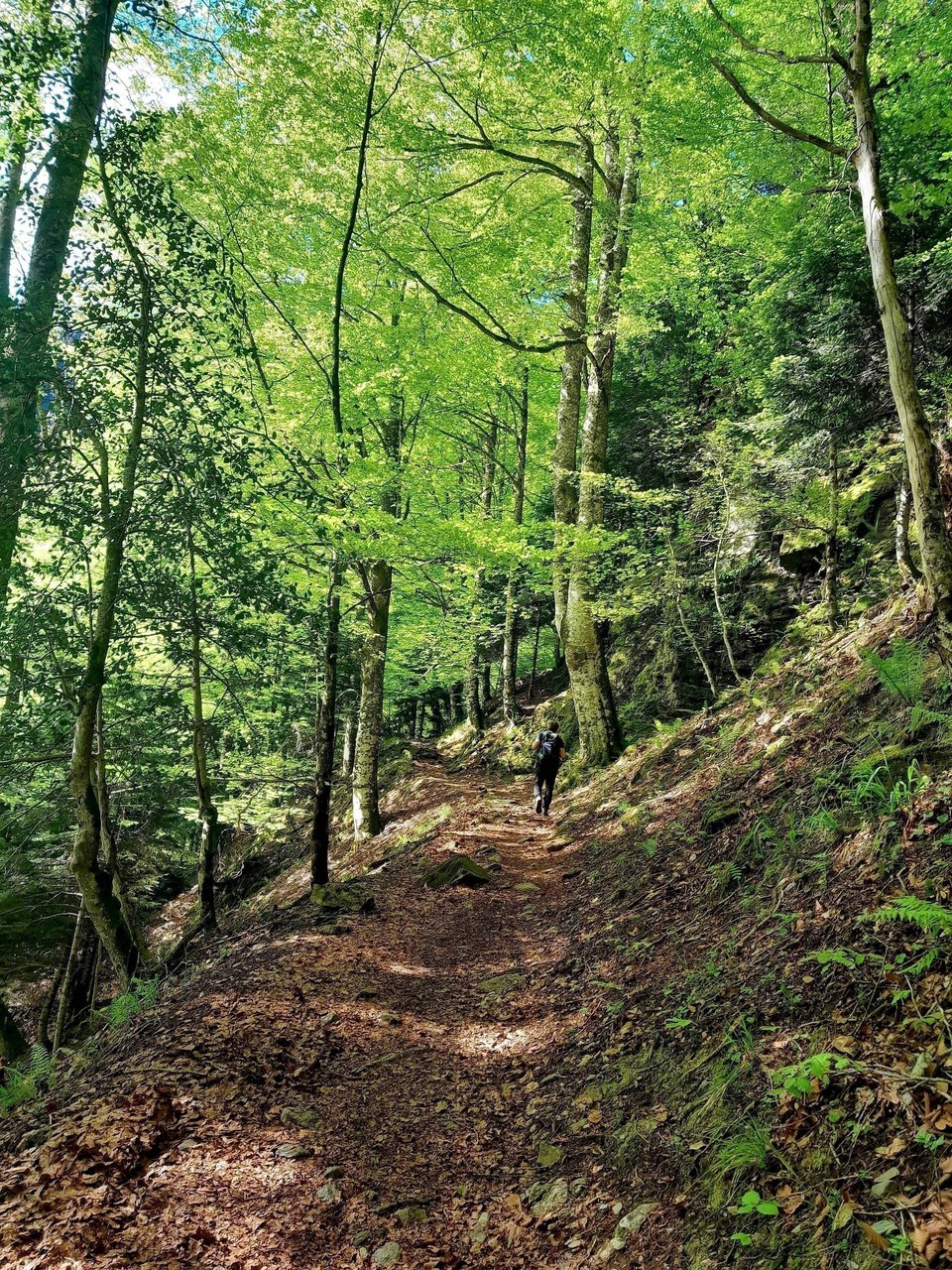 L'effort dans la montée...