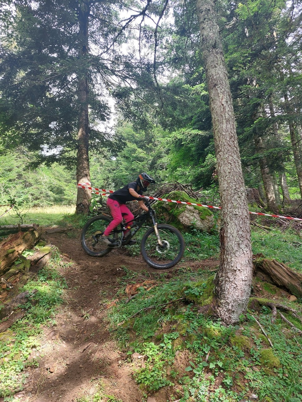 La lièvre