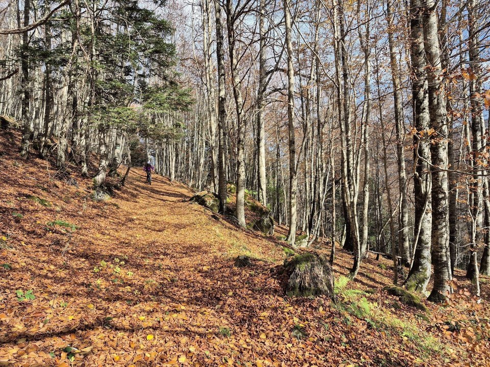 VTT Rando descendante bleue - CR (3)