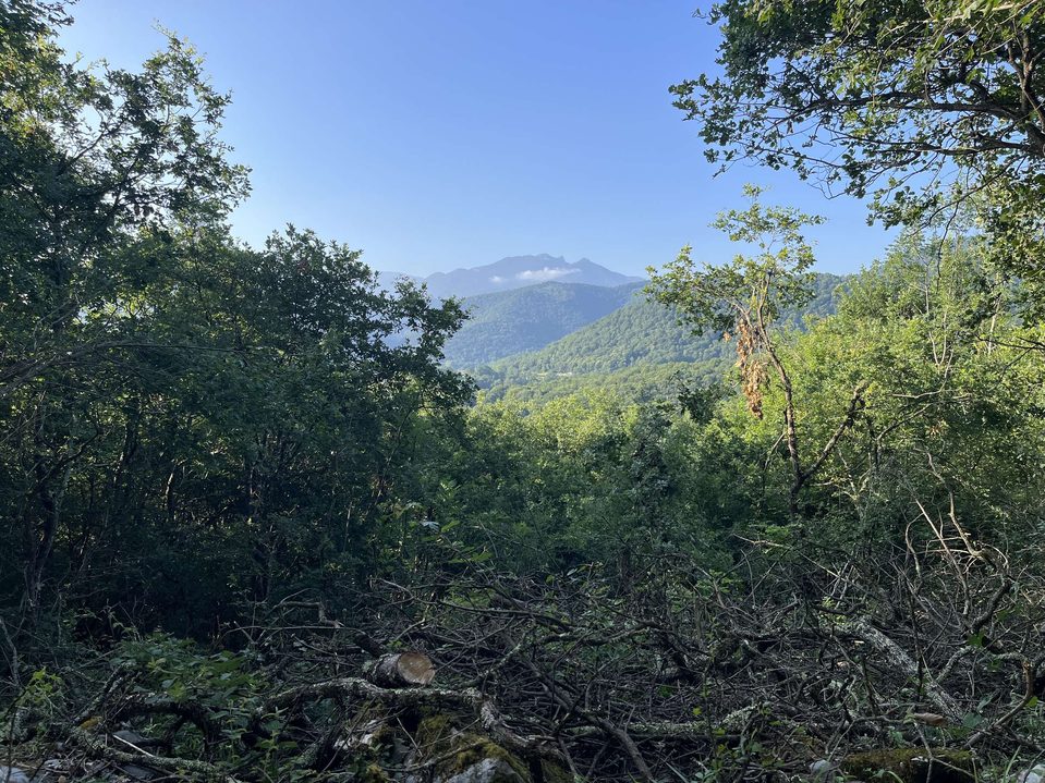 Le col Lauach (89)