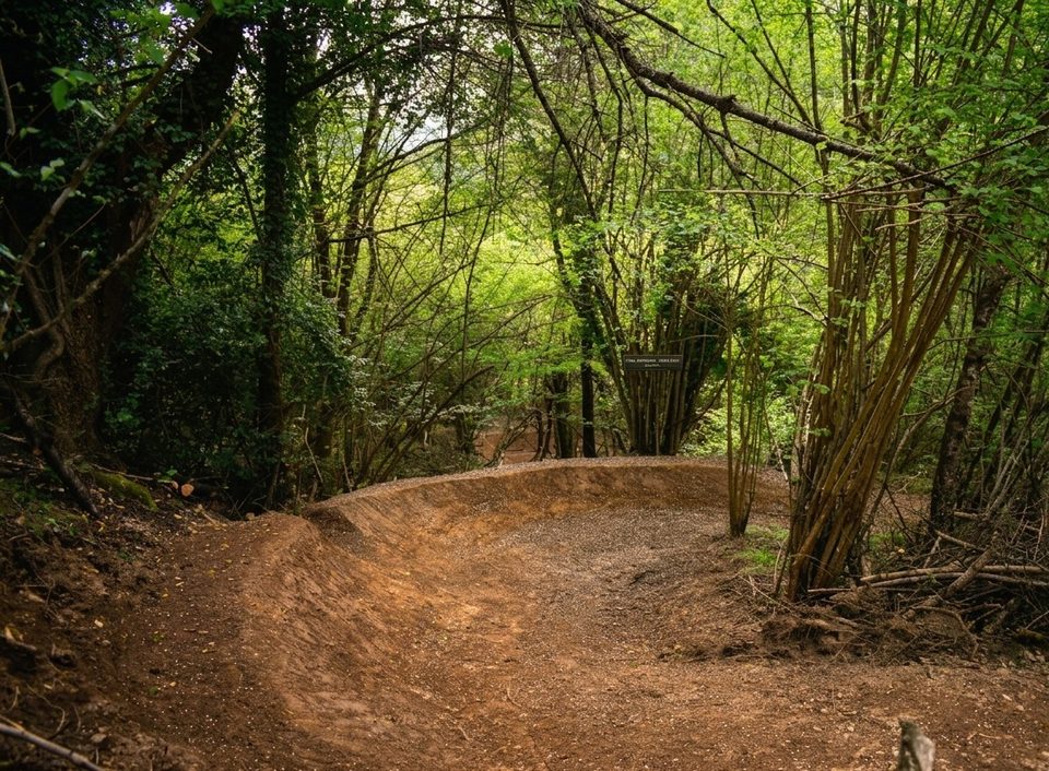 Piste VTT Wood's Lines