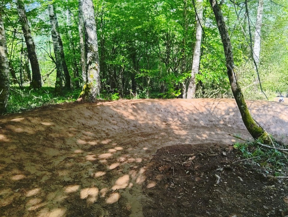 Piste VTT Wood's Lines