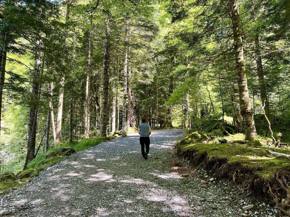 Immersion pendant la montée