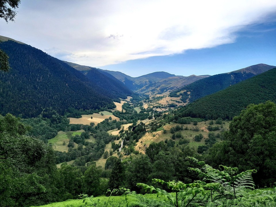 Balade en vallée d'Oueil (20)