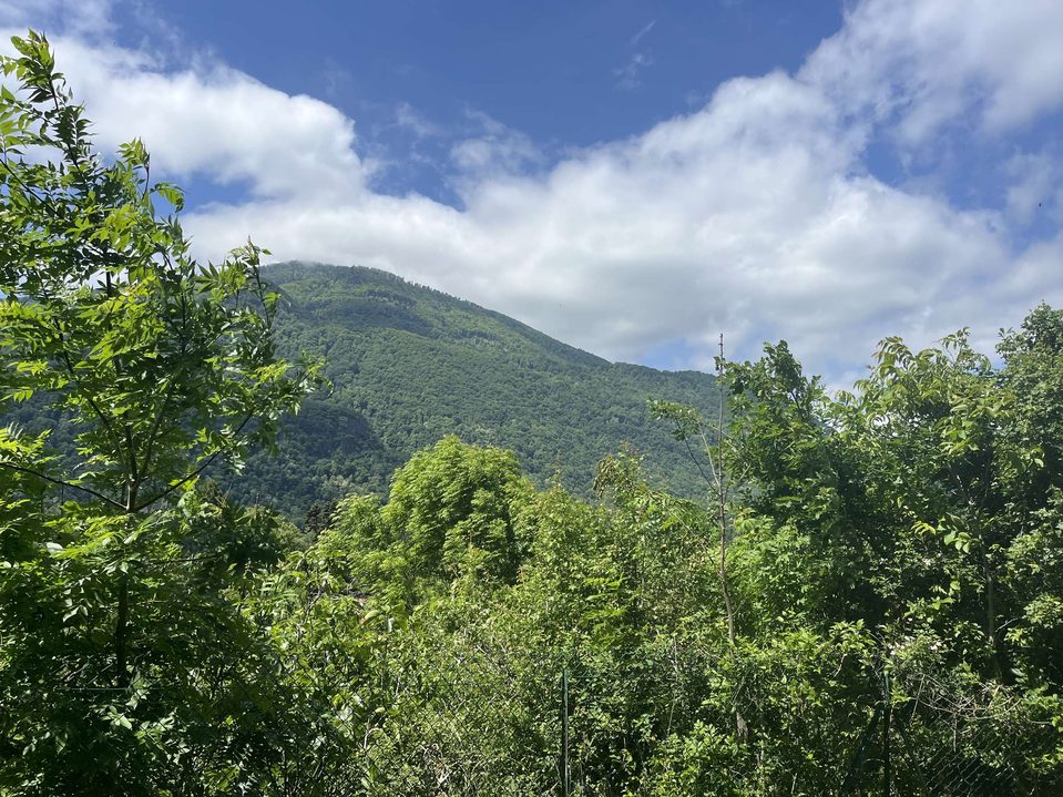Point de vue sur les collines voisines
