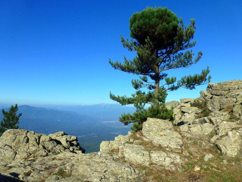 Col de l'Ouillat - Pic Néoulous