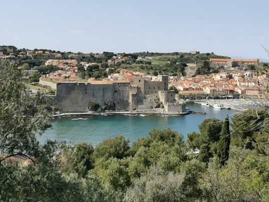 Vue sur la baie de Collioure