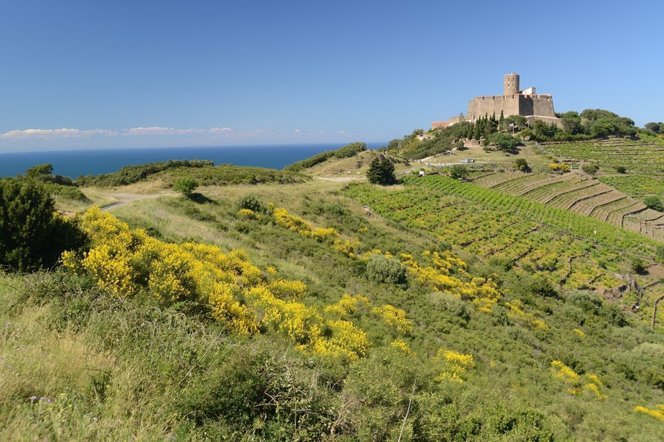 Trail hauts des forts (version longue)
