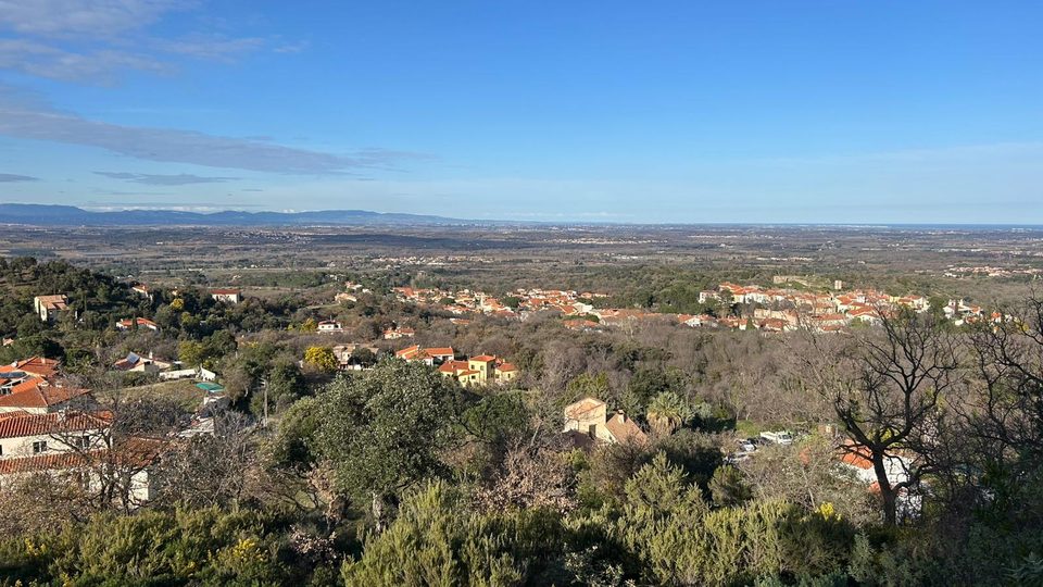 Sentier botanique de Montesquieu-des-Albères