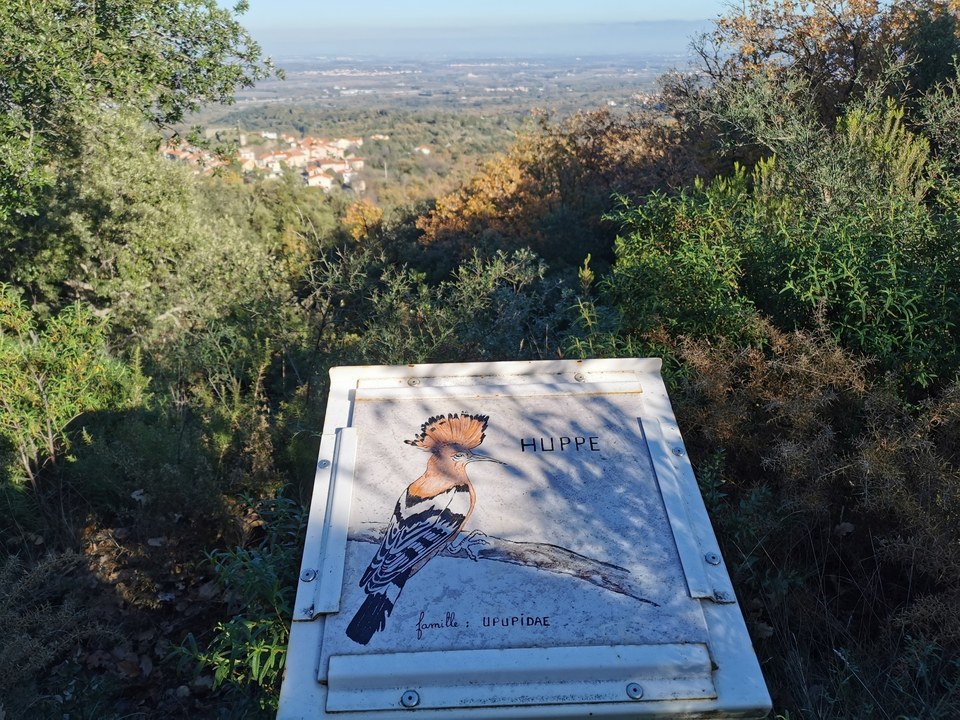sentier-botanique-de-montesquieu