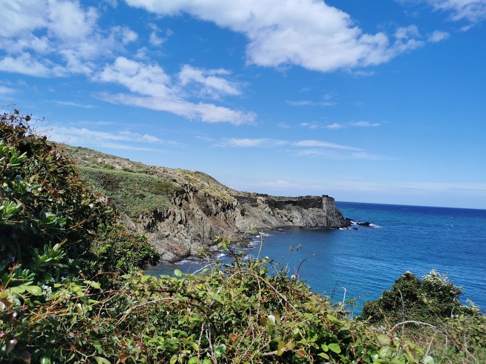 collioure pv