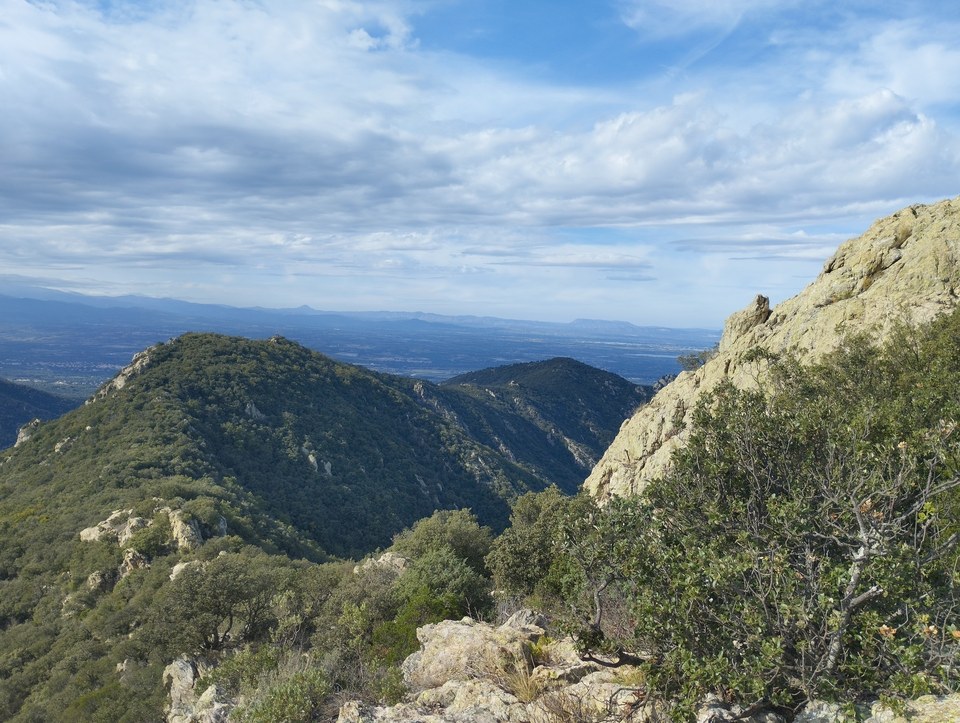 Trail du château d'Ultrera 2024