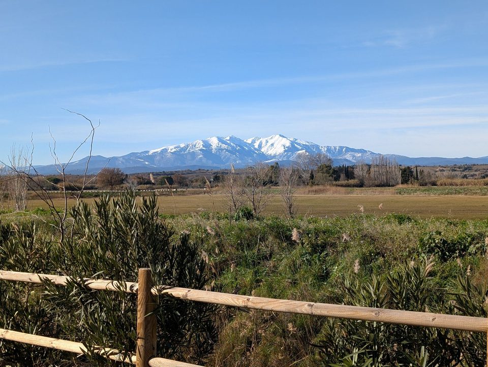 Canigou